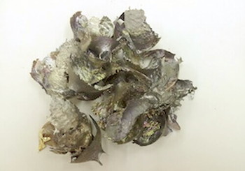 鋳造金属合金 バリ